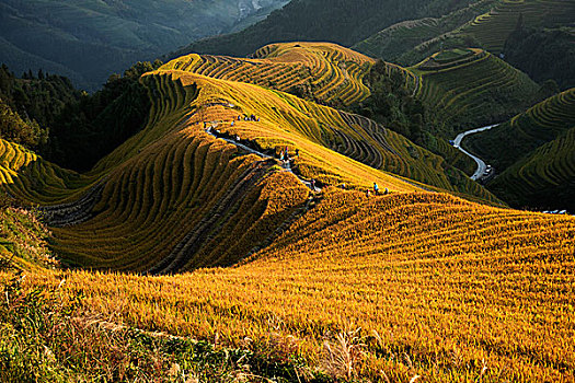 xs mien nam hom nay