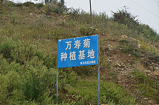 soi cau than tai mb