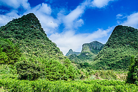 số đồng tháp