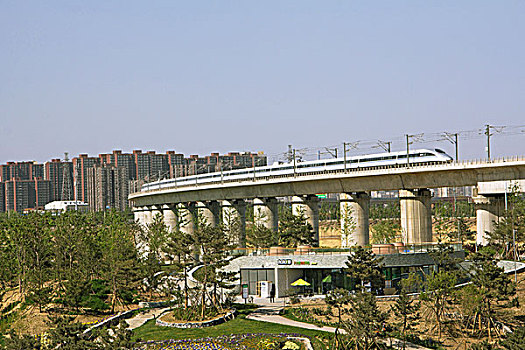 soi cau dau duoi