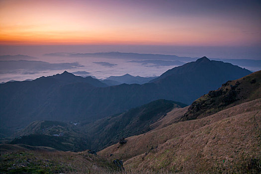 soi cau bạch thu