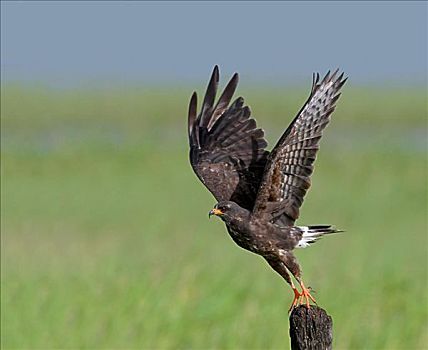 xổ số miền bắc hàng tuần