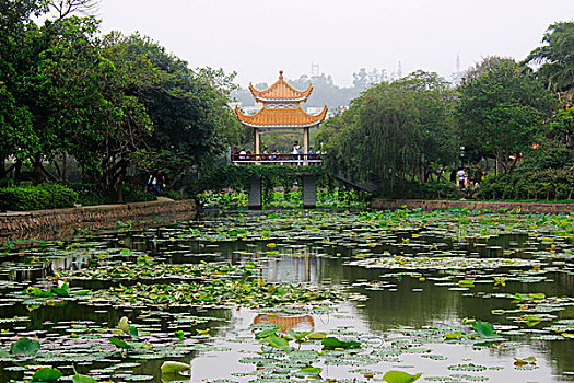 xs tien giang