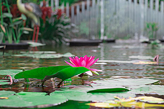 soicau888 miễn phí