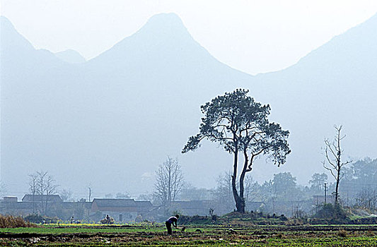 soi cầu miễn phí hôm nay