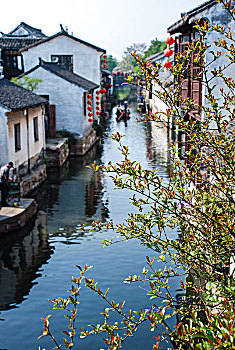 dự đoán cầu lô