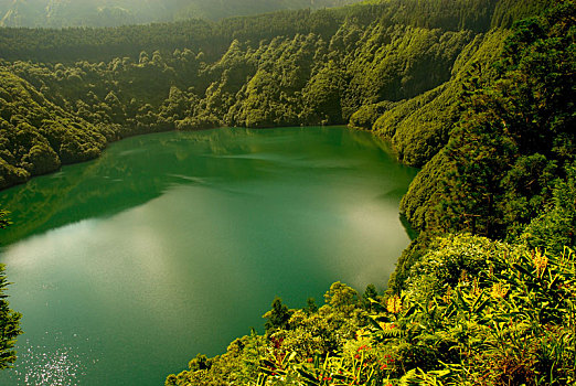soi cau dai loc
