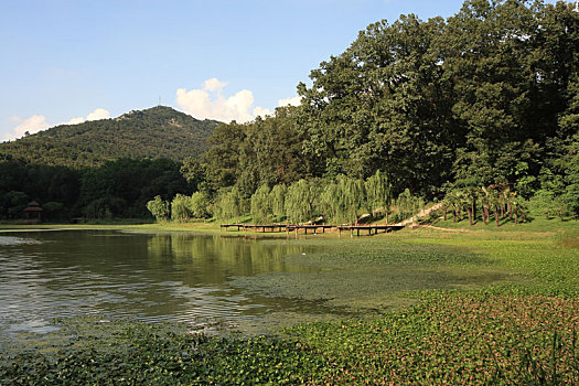 lô dàn 28