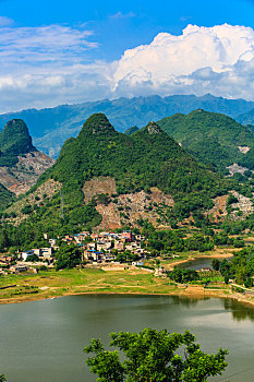 bạch thủ lô hôm nay
