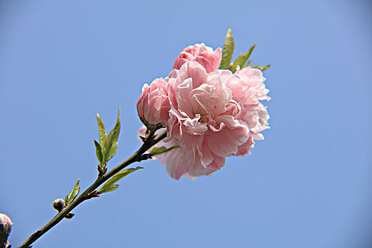 lô đề chuẩn