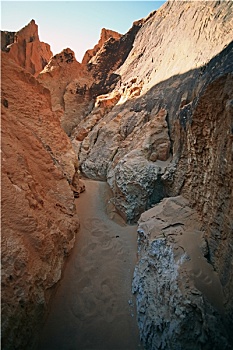 soi cau hoang minh