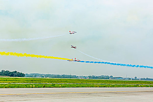 giống gà đá hay nhất hiện nay