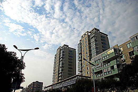 bach thu lo khung 3 ngay