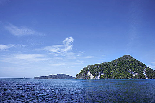 soi cau rong bach kim 2nhay