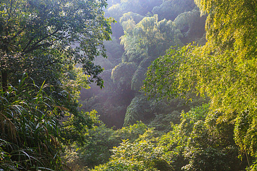 bạch thủ lô 2 nháy hôm nay