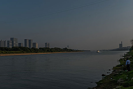dự đoán wap