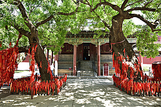 cách đánh bao lô
