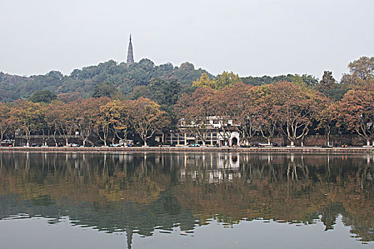 đề mb